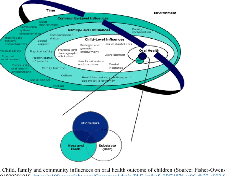 Figure 2.1. Child, family and community influences on oral health outcome of children (Source: Fisher-Owens et al., 2007; Copy rights license  Number 4204590201918  https://s100.copyright.com/CustomerAdmin/PLF.jsp?ref=05f7487f-ec06-4b22-a903-9511ee5d81b5  