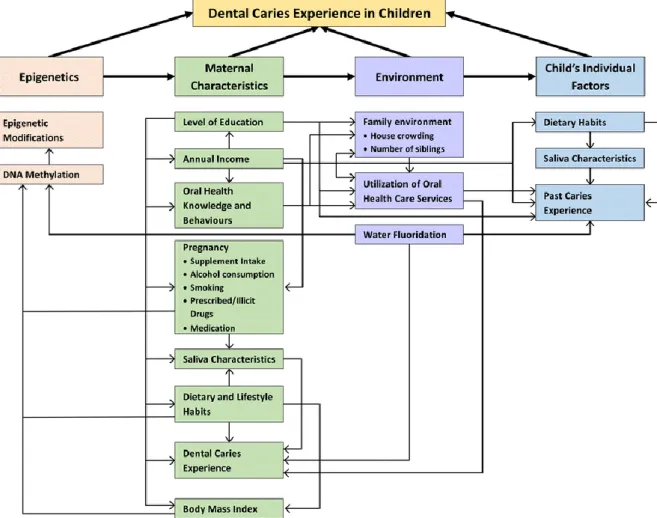 Figure  3.1  Conceptual  framework  for  the  possible  interaction  of  risk  indicators  under  investigation (Permission has been provided by the publisher, Biomed Central, under their open  access policy, which states that “As an author of an article p