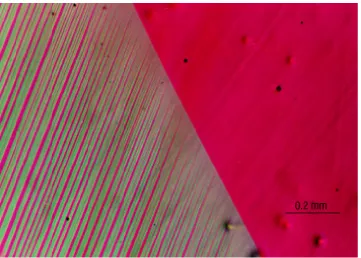 Figure 1.3: Microstructure of the twinned martensite phase next to a homogeneousaustenite phase in a Cu-Ni-Al alloy (adapted from [34])