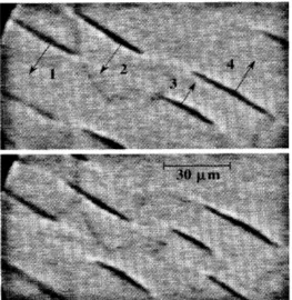 Figure 1.6: A photoemission electron microscope image showing the oxidation ofCO on a Pt substrate