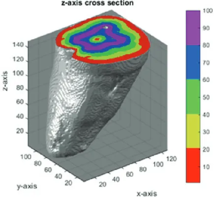 Figure 4.3: Score cube z-axis cross-sectional view
