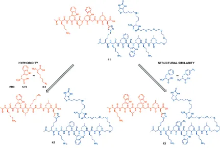 Figure 2.9: Amino acid substitution in the linear biligand to develop branched biligands