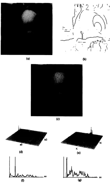Fig. 6. Detection example of two similar ellipses. (a) Raw image; (b) result of the edge detector operator; (c) result ellipse superimposed; (d) centre accumulator; (e) axis ratio accumulator; (f) a x histogram for the big 