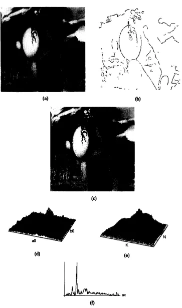 Fig. 5. Ellipse detection example. (a) Raw image; (b) result of the edge detector operator; (c) result ellipse superimposed; (d) centre accumultor; (e) axis ratio accumulator; if) a x histogram