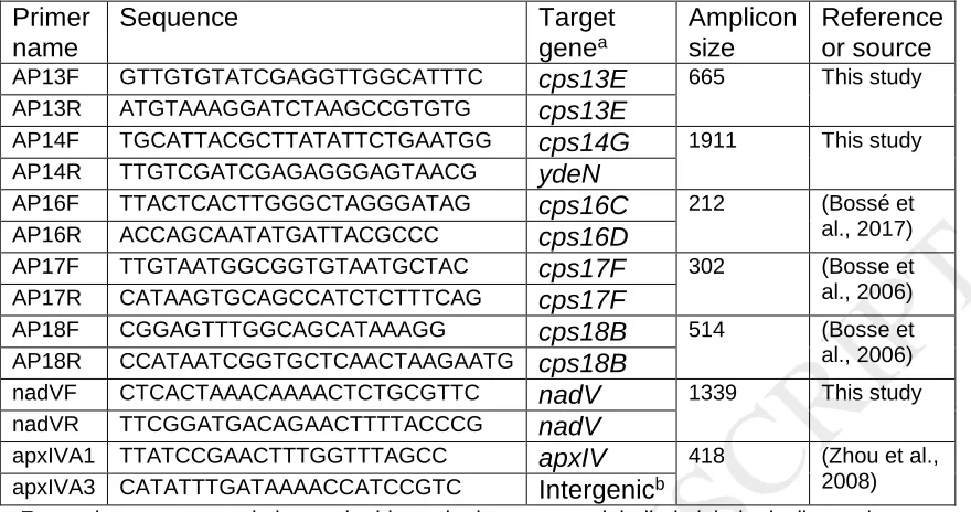 Table 3. APP-mPCR2 for detection of serovars 13, 14, and 16-18. 