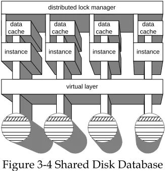 Figure 3-4 Shared Disk Database 