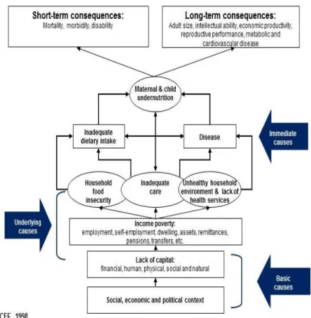 Figure 1.1 The UNICEF Conceptual Framework 