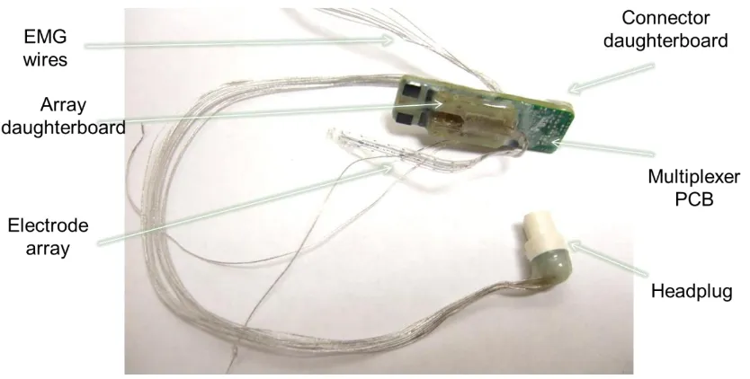 Figure 3.3: Photograph of the multiplexed implant  