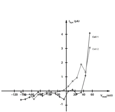 Figure 3.2: Eﬀect of holding potential on the AFD-mediated synaptic currentin AIY. Evoked synaptic current, Isyn as a function of holding potential, Vhold