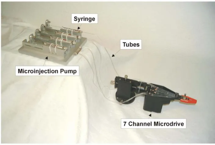 Figure 3: 4 channel microinjection pump system connected to a 7 channel microelectrode manipulator