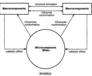 Fig. 2. Overview of the CKSD simulator. 