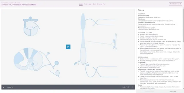 Figure 3.2- an image from the Draw It to Know It software. The drawing tutorial  panel is visible on the left of the image, with the right pane of the image showing the  terms and concepts to be learned in this tutorial