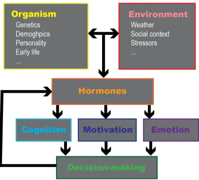 Figure 1.1: A framework for studying hormonal inﬂuences on decision-making. Theinteraction of environmental factors and the organism’s inherent characteristics (e.g.,genes) leads to hormonal variations that cause shifts in cognition, motivation andemotions