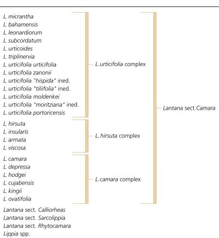 Figure 1.The four sections within the 