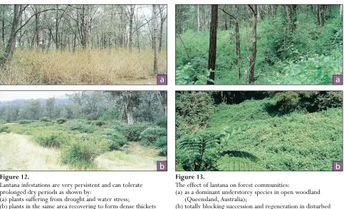 Figure 12.Figure 13.