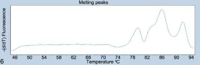 Figure 6. Melting peaks analysis, for quantitative PCR analysis of a fungal pathogen. The 