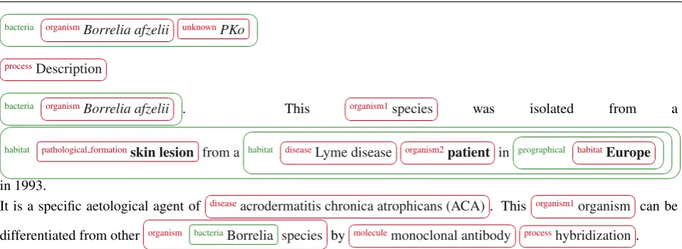 Figure 2: Annotated extract from the Bacteria Biotope corpus. Reference annotations are inside green boxes (bacteria,habitat, geographical), Cocoa annotations are inside red boxes
