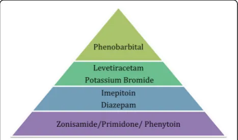 Fig. 6 Pyramid of AEDs’ safety hierarchy based on the quality ofevidence and outcomes assessment