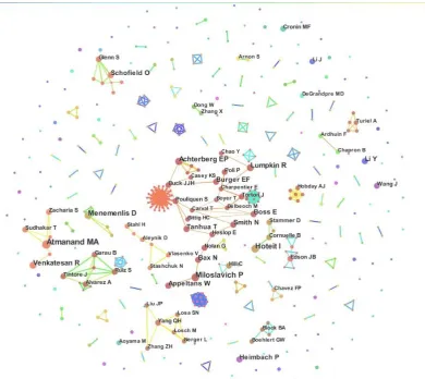 Figure 3. Author co-occurrence network map. 