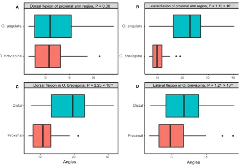 Fig. 10  Comparison of the angles formed between segments during arm flexion between species and arm regions