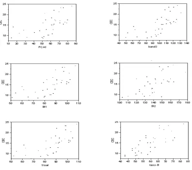 Fig. 5. Geographical positions of the 40 series data points withETM+ image of the study area (in background).