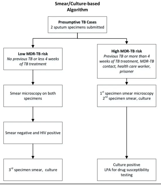 Figure 2: Smear/culture-based algorithm as stipulated by the South African National TB Programme 39 With the smear/culture-based algorithm, all presumptive TB cases were required to submit two spot  sputum specimens an hour  apart to be tested with fluores