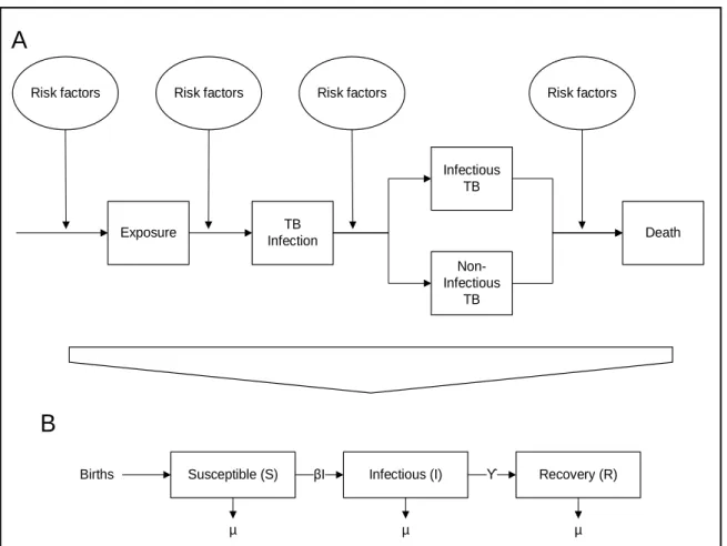 Figure 4: (A) A schematic representation of different disease states in TB epidemiology