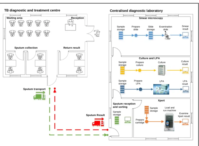 Figure  5: A simplified representation of an operational model. The operational mode incorporated  specimen flow from specimen collection, through laboratory test procedures, to a result being provided  to the patient
