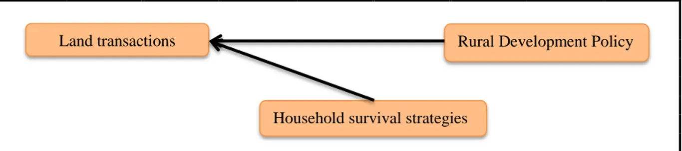 Figure 5.1: Influence of RDP and household survival strategies on land transactions  Source: Field data, (2012)