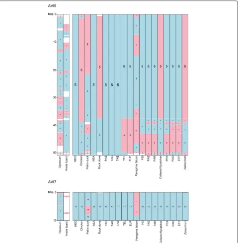Fig. 2 Avian ancestor chromosome 5 and 17 visualisations on the Evolution Highway comparative chromosome browser