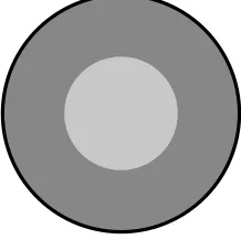 Figure 12:The silica particle (light grey) is represented by a rigid disc, andthe resin (dark grey) is represented by a homogeneous isotropic thermo-elasticmedium