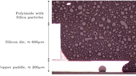 Figure 1:The setup of one end of the chip, showing the copper paddle, the dieand the epoxy compound