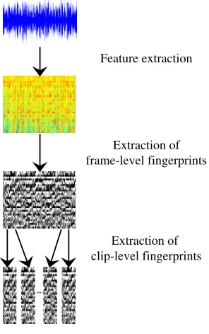 Figure 1: Fingerprint extraction procedure