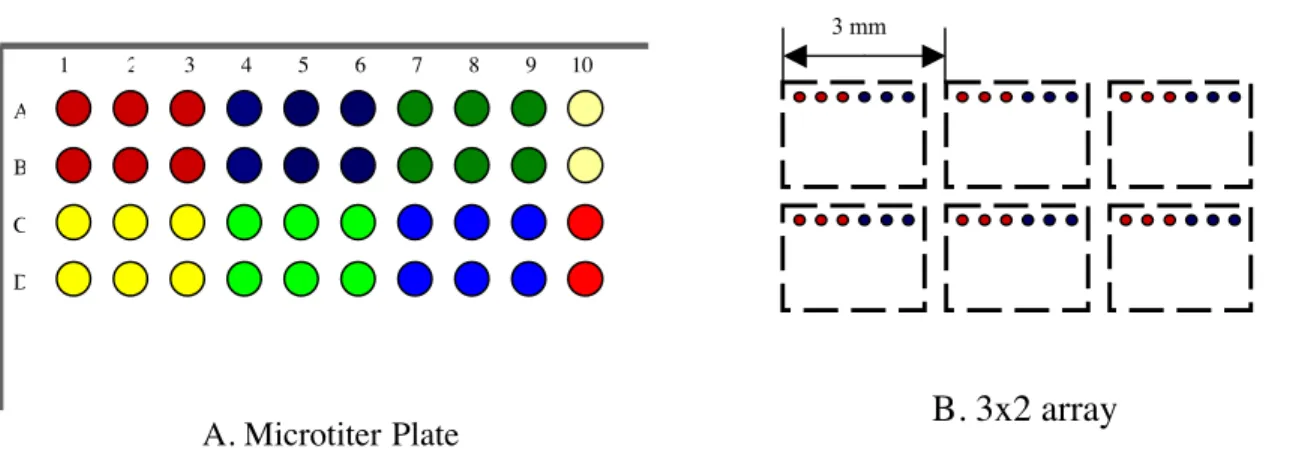 Figure 1: A shows a partial 864-well plate with wells grouped into the 3x2 tile.  Each tile is separated by a different color