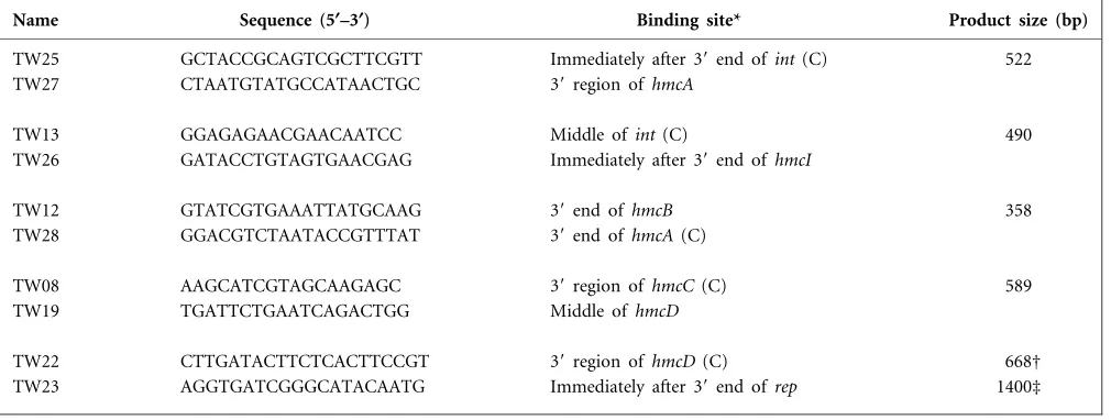 Table 1. Oligonucleotide primer pairs used in PCR