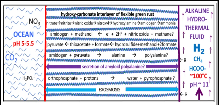 Figure 2. Cartoon of some of the feed molecules and expected products driven by redox and pH (electron and proton) gradients as mediated within the nano-galleries of green rusts situated in, and comprising, a barrier between alkaline hydrothermal solutions