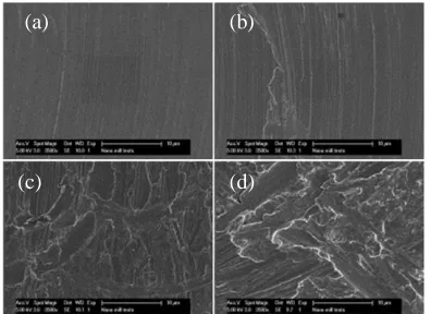 Figure 9: (a) Resist mask of the structure on the surface of silicon wafer, (b) vertical profile of the resist 