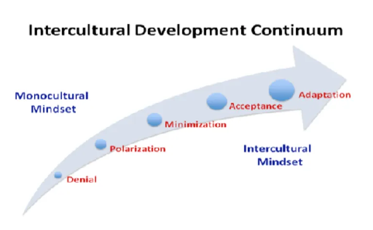 Figure 5. The Intercultural Development Continuum (Hammer, 2012). 