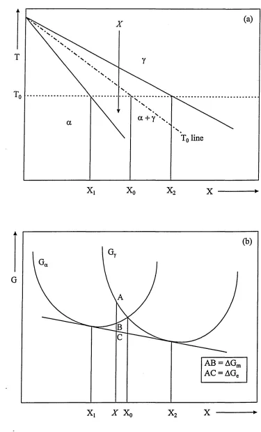 Fig. 2.12. (a) Schematic equilibrium phase diagram showing decomposition of y upon continuous cooling system into two-phase field, and (b) a schematic representation of the free energy-composition curve showing the possibility of composition invariance transformation in two-phase field.