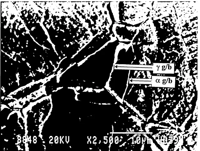 Fig. 4.6. TEM montage of ferrite grains formed in a furnace cooled Fe-9Ni alloy.