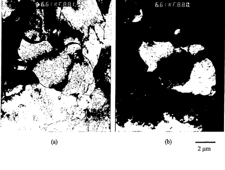 Fig. 4.7. TEM picture of a massive ferrite 