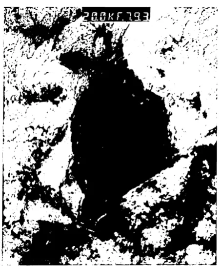 Fig. 4.9. M-A constituent in furnace cooled Fe-9Ni alloy.