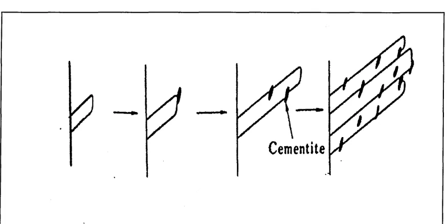 Figure 12:- Schematic representation of the mechanism of carbide precipitation
