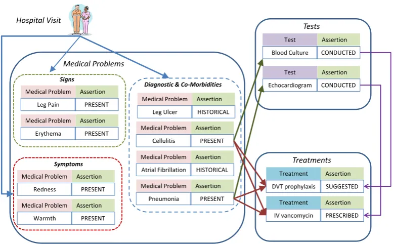 Figure 2: The combined Cohort Clinical Graph (CCG).