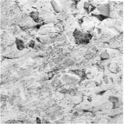 Fig. 3  Example of an image of a pottery fabric from the NRFRC Handbook.