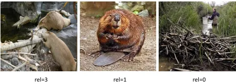 Figure 2: Examples of Web-images and their associated rel-evance ratings (”beaver building dams”).