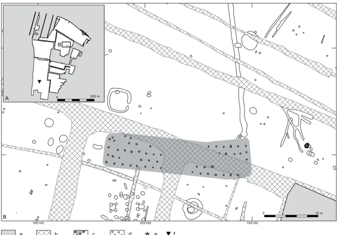 Figure 4 Location of the cluster of postholes and EBA pit. a not excavated; 19 th  century ditches; c postholes  of structure; d other features; e MBA mould; f Late Neolithic stone axe.