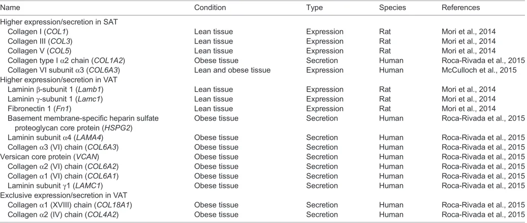 Table 1. Expression and secretion pattern of extracellular matrix components in human and rat subcutaneous (SAT) and/or visceral white adiposetissue (VAT)