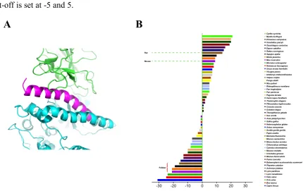 Figure 3. Differences of distances against humans between Time Tree and Phylogenetic 