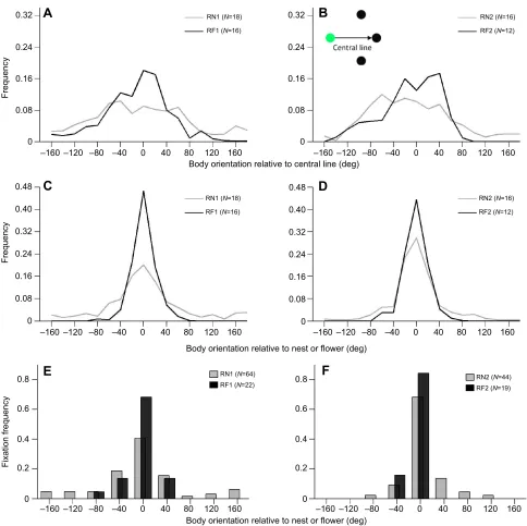 Fig. 7. Looking at visual cues during returns. (A,B) Body orientation relative to the central line of the cylinder array (see inset in B) during RN1 (circular mean:0.54), RN2 (circular mean: 0.77 deg,and RN1 distributions or the RF2 and RN2 distributions d